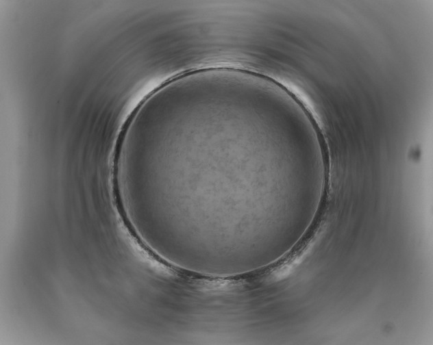 X0000090780949200707201521