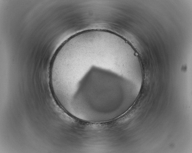 X0000090780950200707201521