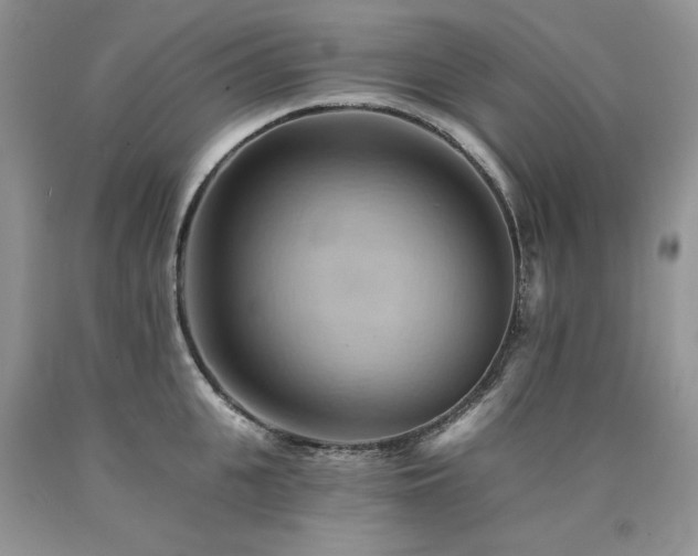 X0000090780951200707201521