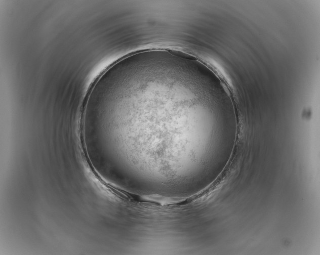 X0000090780952200707201521