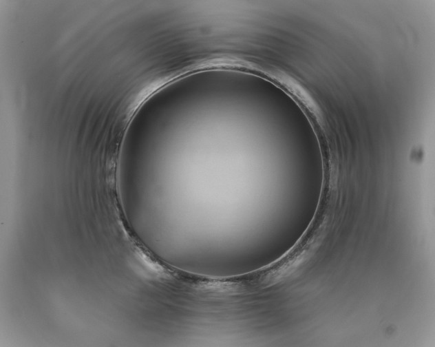 X0000090780953200707201521