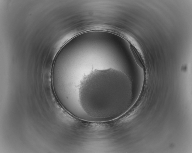 X0000090780954200707201521
