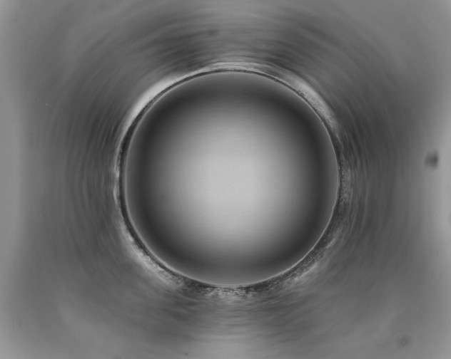 X0000090780955200707201521