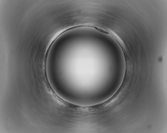 X0000090780956200707201521