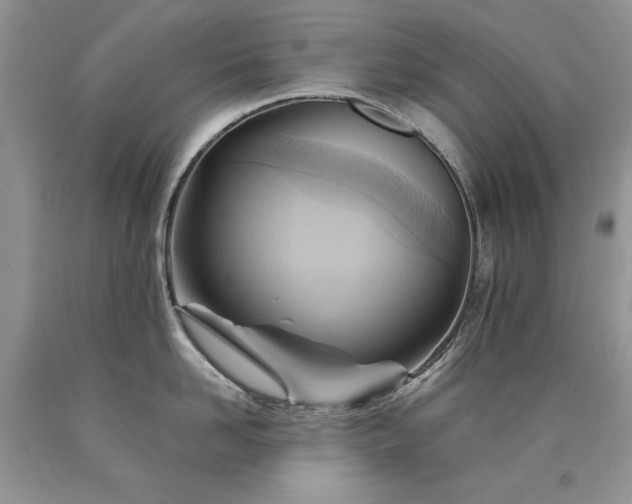 X0000090780958200707201521