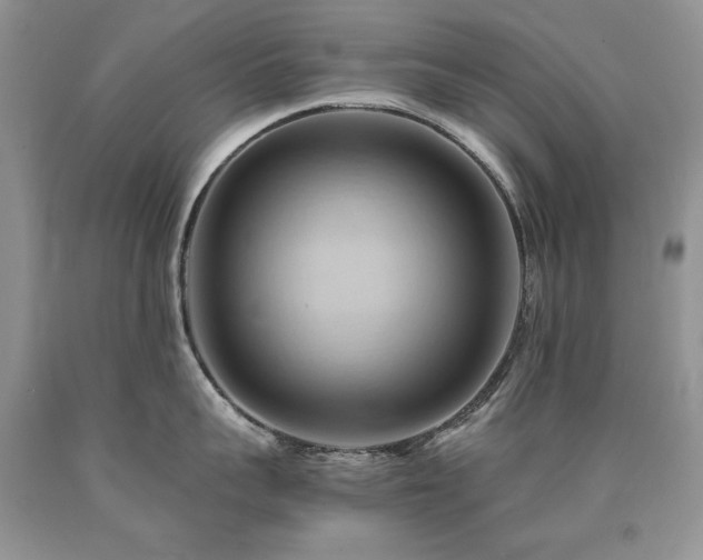 X0000090780959200707201521