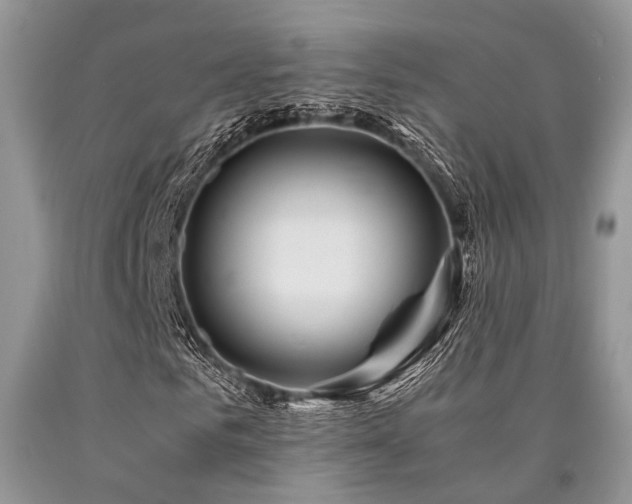 X0000090780961200707201520