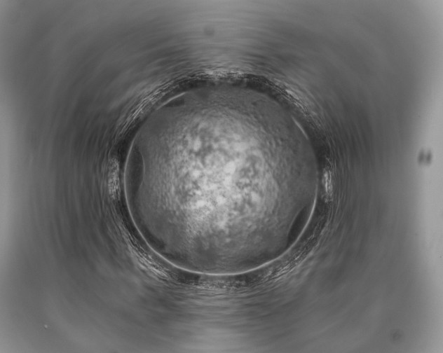 X0000090780963200707201520