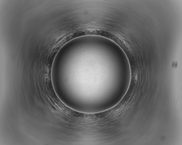 X0000090780964200707201520