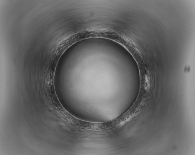 X0000090780966200707201520