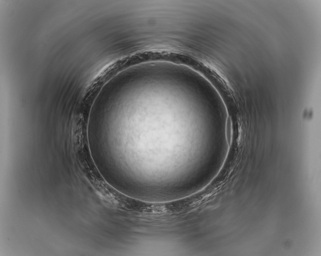 X0000090780968200707201520
