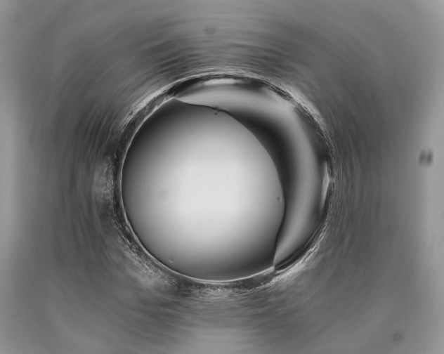 X0000090780969200707201520