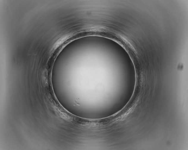 X0000090780970200707201520