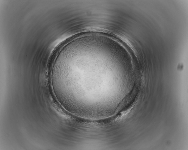 X0000090780971200707201520