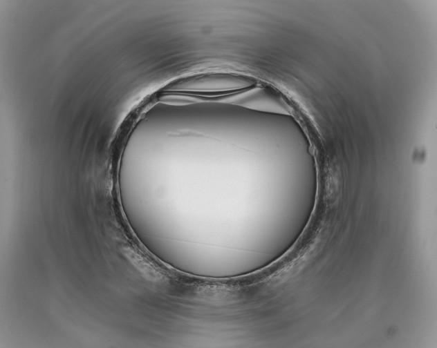 X0000090780973200707201520