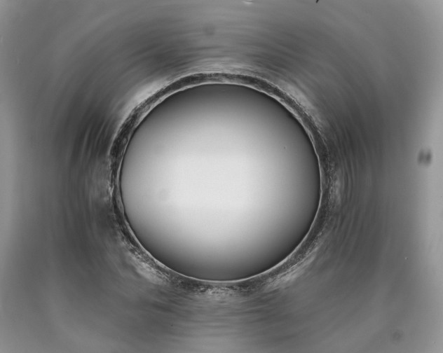 X0000090780974200707201520