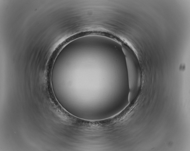 X0000090780975200707201520