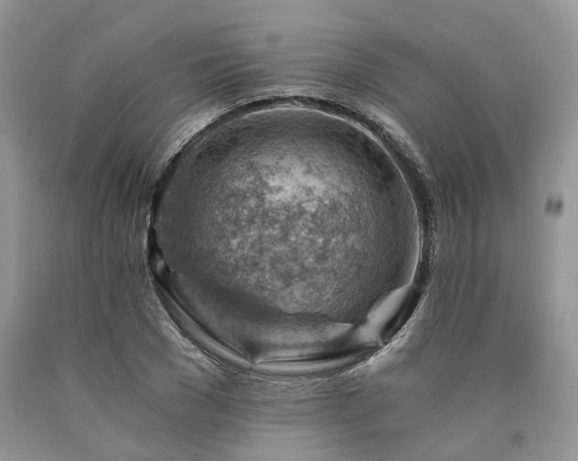 X0000090780977200707201520