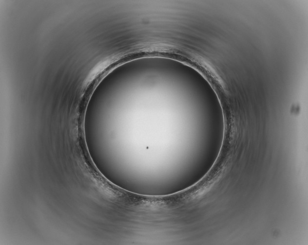 X0000090780978200707201520