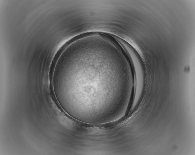 X0000090780980200707201520
