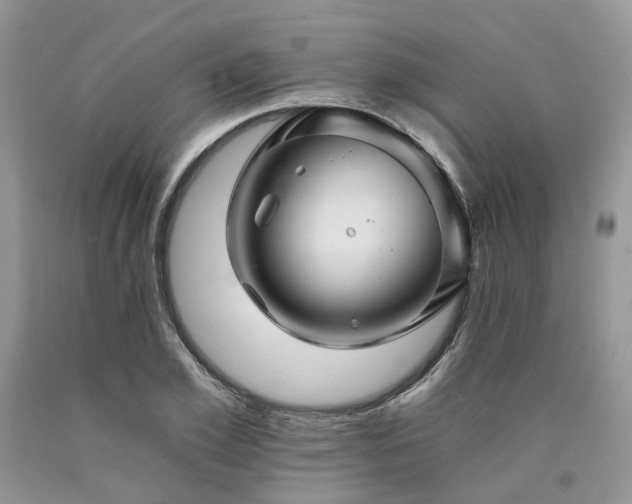 X0000090780981200707201520