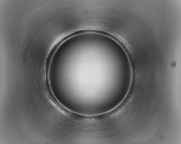X0000090780982200707201520