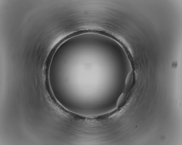X0000090780983200707201520