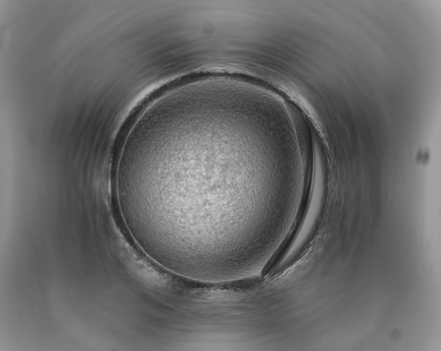 X0000090780984200707201520