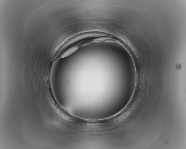 X0000090780985200707201520