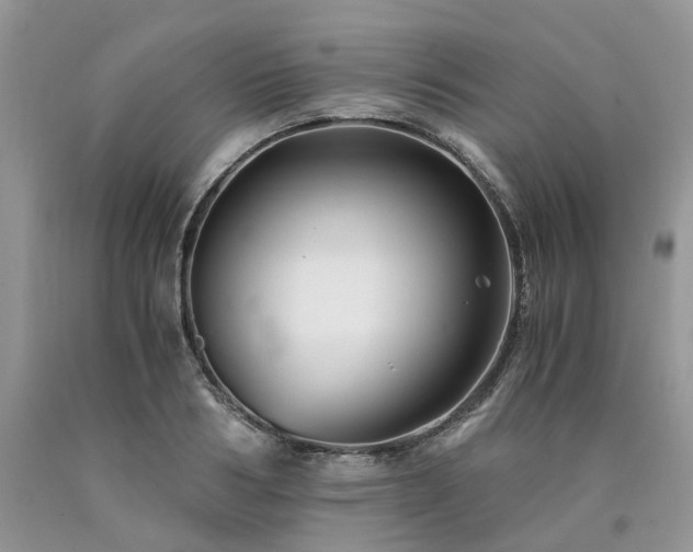 X0000090780986200707201520