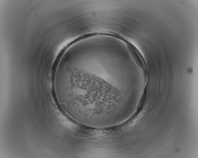 X0000090780987200707201520