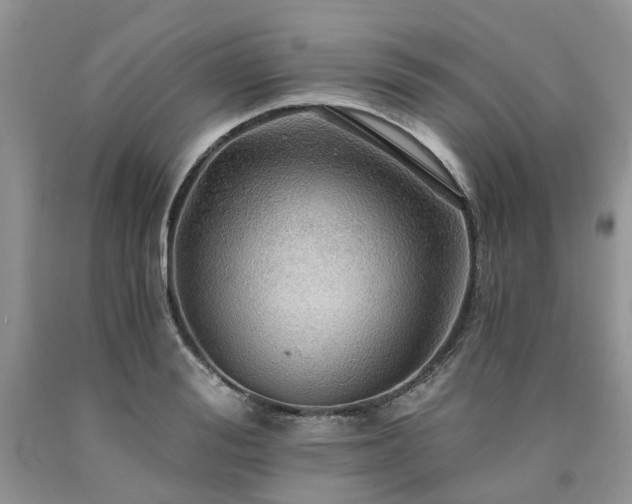 X0000090780988200707201520