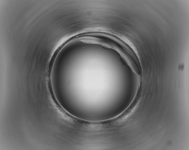 X0000090780989200707201520