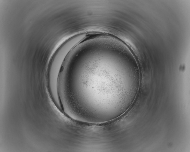 X0000090780992200707201520