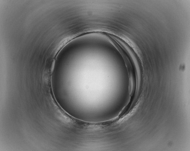 X0000090780993200707201520