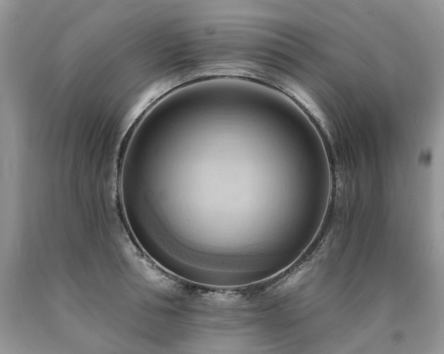 X0000090780994200707201520