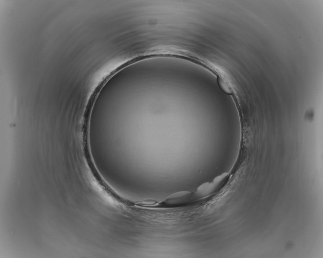 X0000090780995200707201520