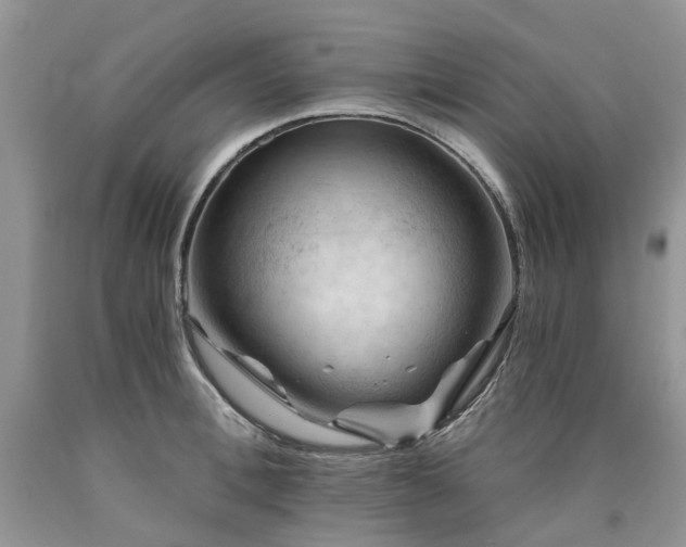 X0000090780996200707201520