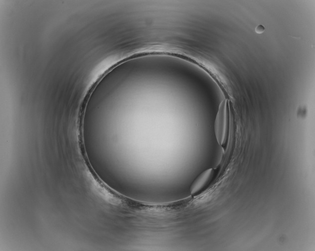 X0000090780998200707201520