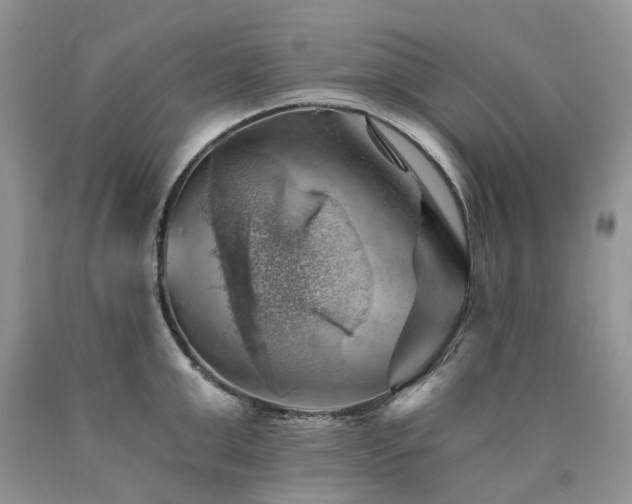 X0000090780999200707201520