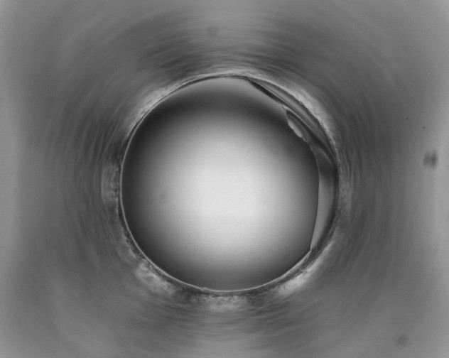 X0000090781001200707201520