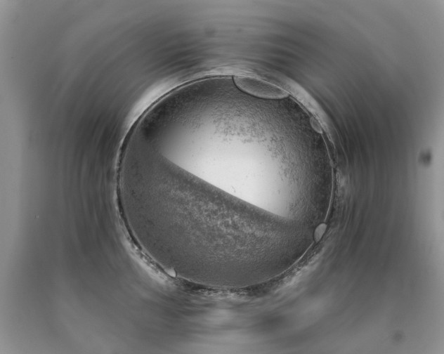 X0000090781002200707201520