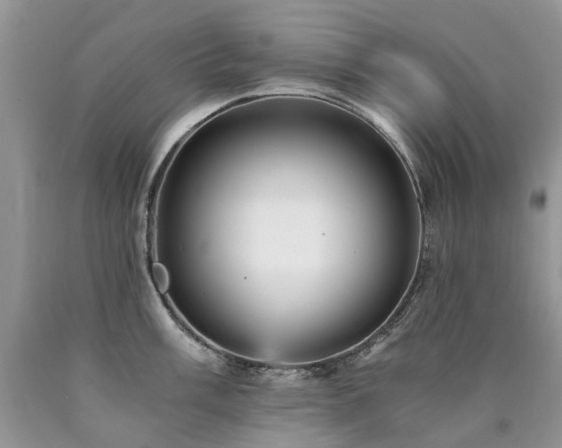 X0000090781003200707201520