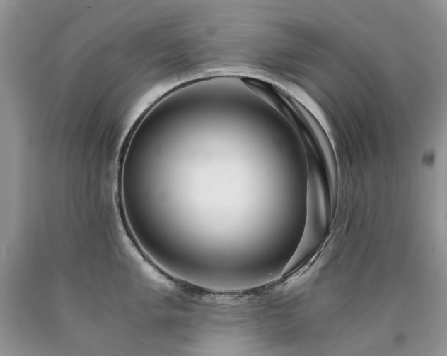 X0000090781005200707201520