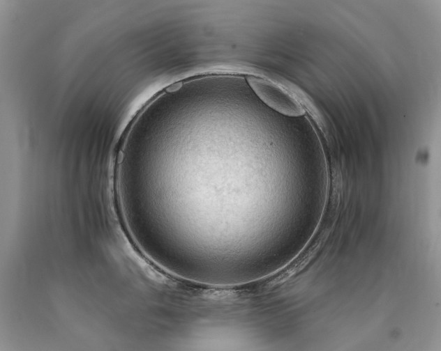 X0000090781006200707201520