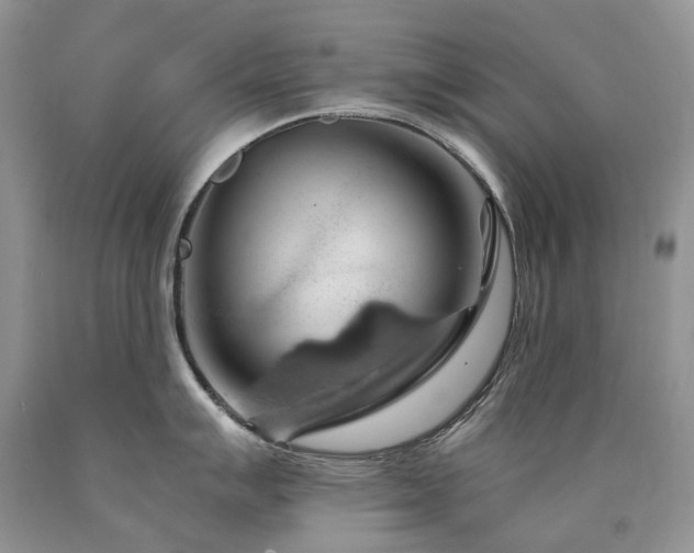 X0000090781007200707201520