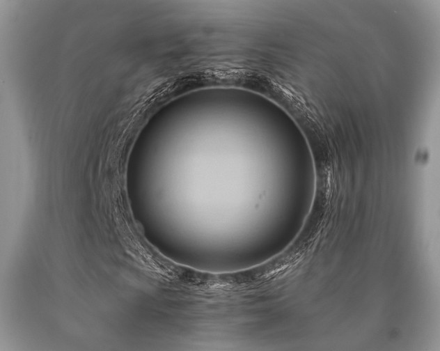 X0000090781009200707201519