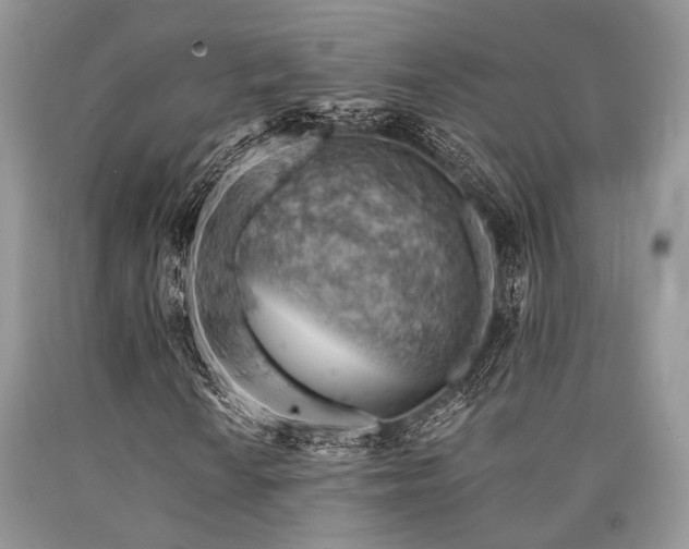X0000090781010200707201519