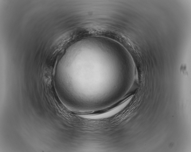 X0000090781012200707201519