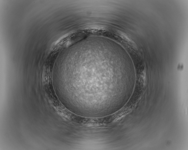 X0000090781014200707201519